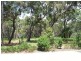 37 Springs Rd, Agnes Water QLD 4677