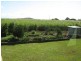 Bargara QLD 4670