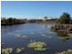 Bargara QLD 4670