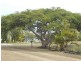Burnett Heads QLD 4670