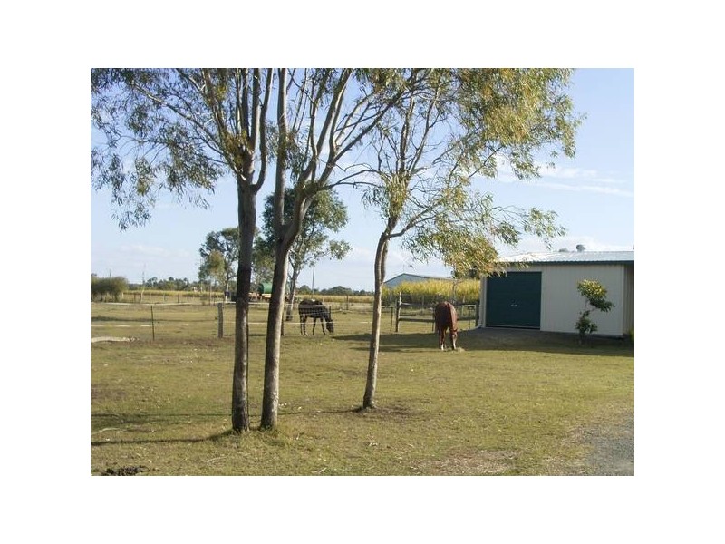 38 Reid Crs, Innes Park QLD 4670