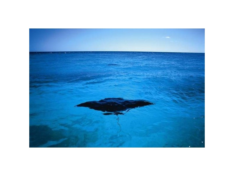 37 & 38 Pebble Beach Dr, Coral Cove QLD 4670