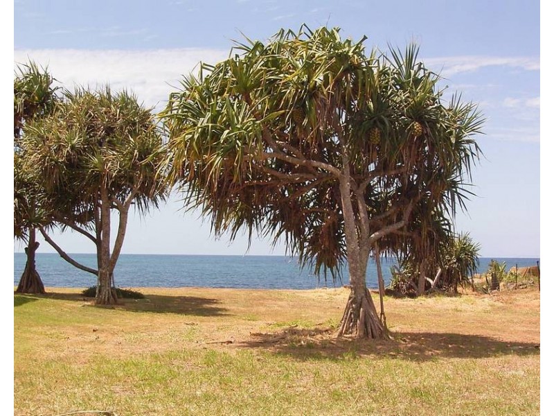 Bargara QLD 4670