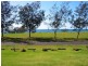 3 Raewood Close, Coral Cove QLD 4670