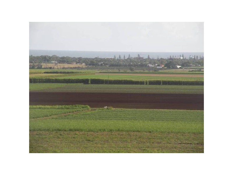 39 Rehbein Ave, Bargara QLD 4670