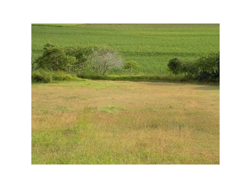 39 Rehbein Ave, Bargara QLD 4670