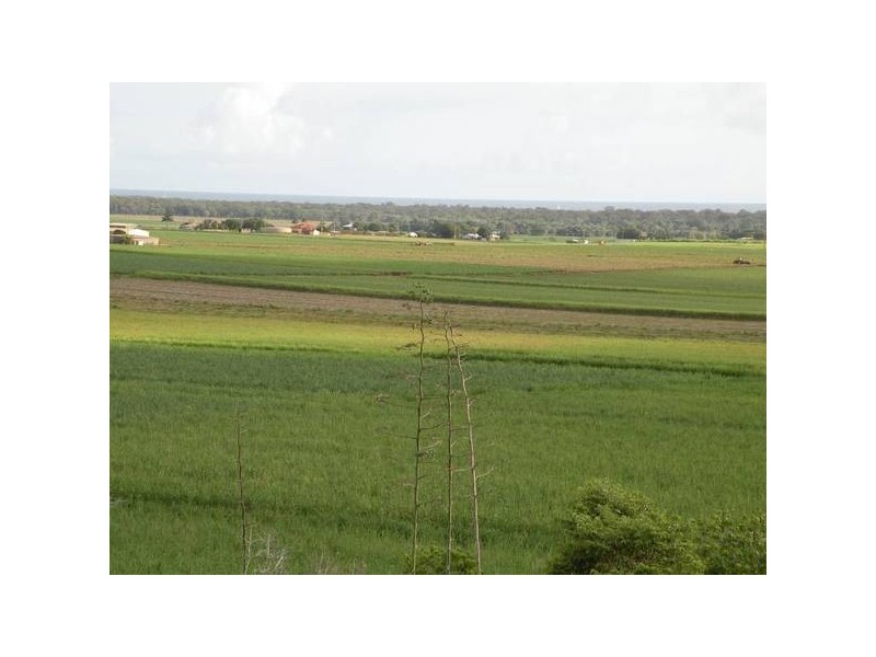 39 Rehbein Ave, Bargara QLD 4670