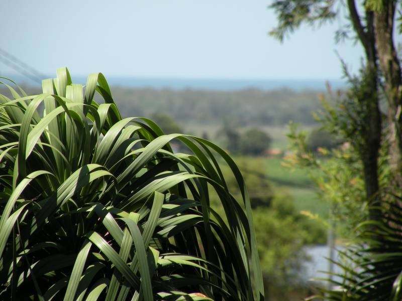 11 Meghan Cres, Bargara QLD 4670