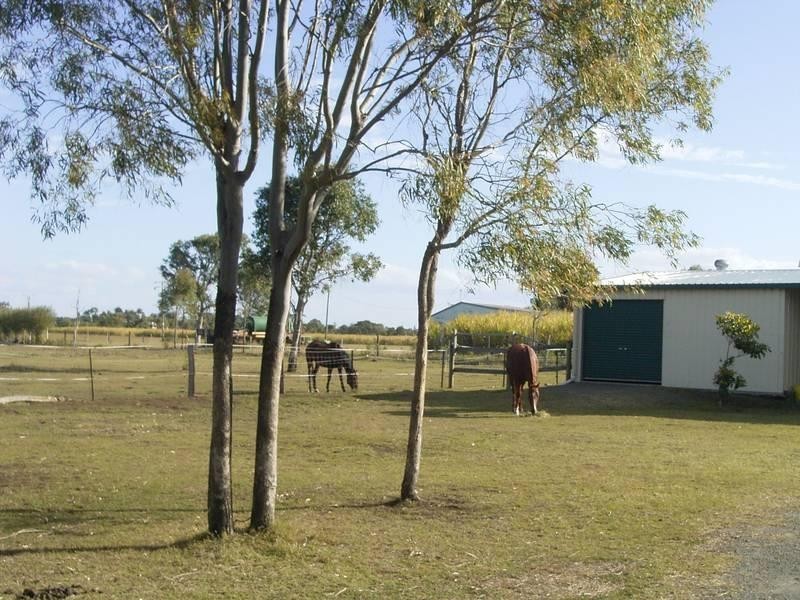 38 Reid Crs, Innes Park QLD 4670