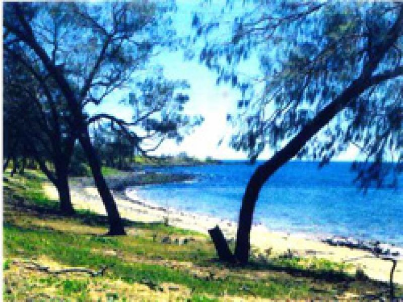 Coral Cove QLD 4670