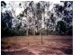 Bucca QLD 4670
