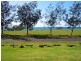 3 Raewood Close, Coral Cove QLD 4670