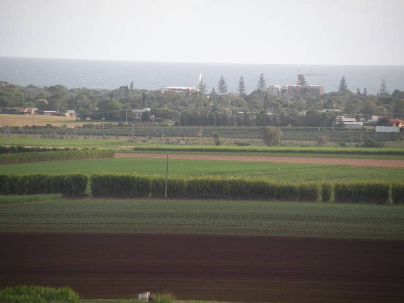 39 Rehbein Avenue, Qunaba QLD 4670