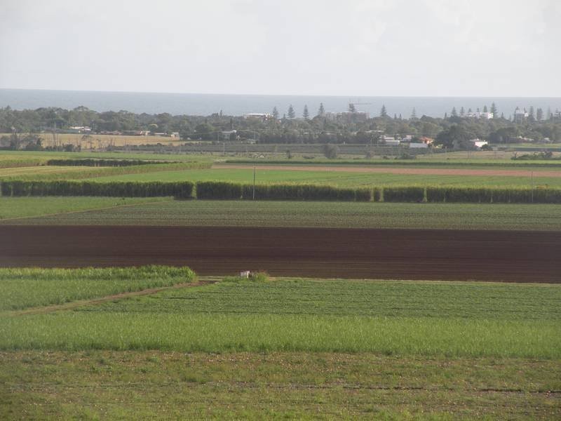 39 Rehbein Avenue, Qunaba QLD 4670