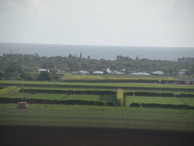 39 Rehbein Avenue, Qunaba QLD 4670