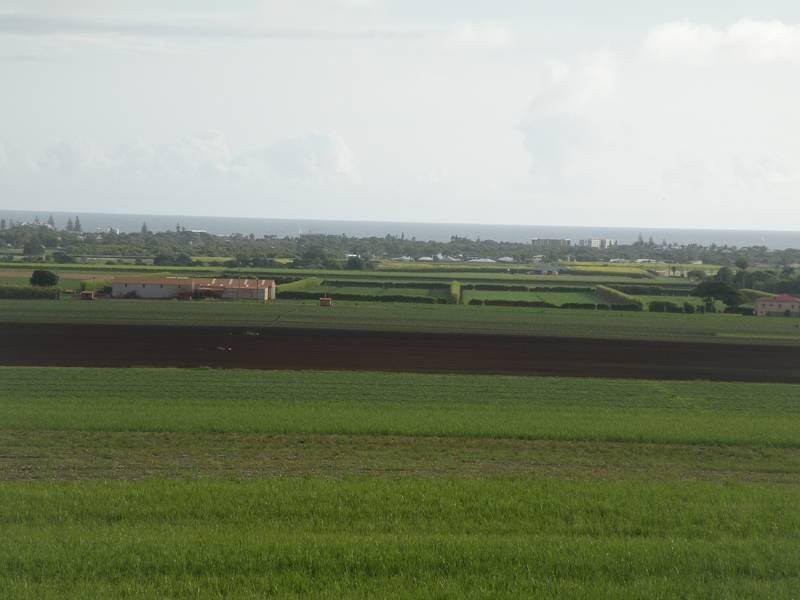 39 Rehbein Avenue, Qunaba QLD 4670