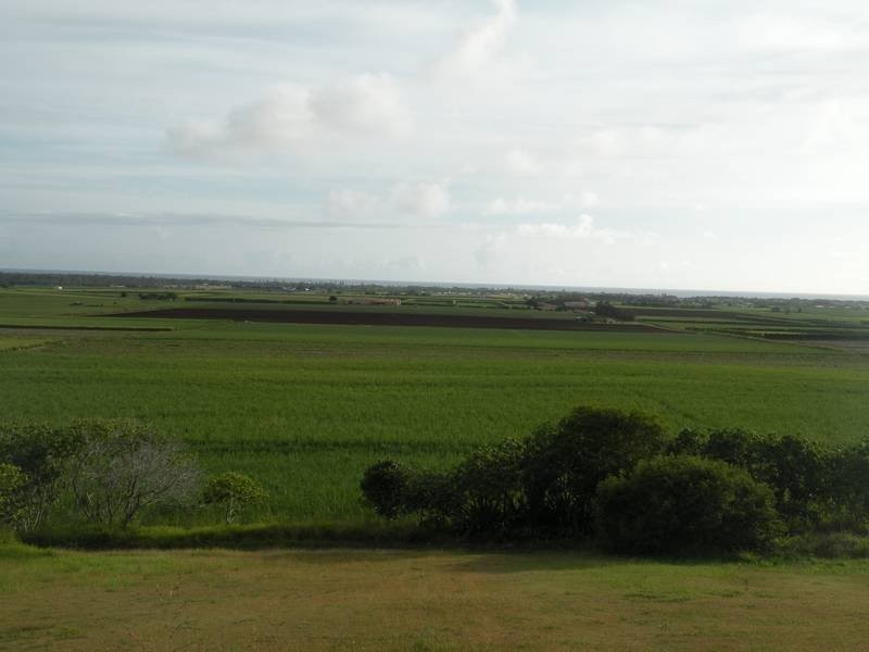 39 Rehbein Avenue, Qunaba QLD 4670