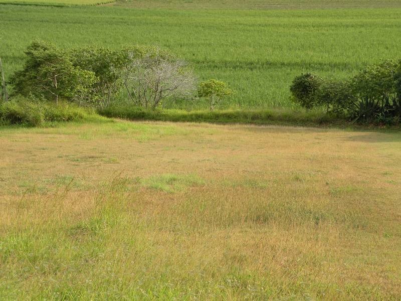 39 Rehbein Avenue, Qunaba QLD 4670