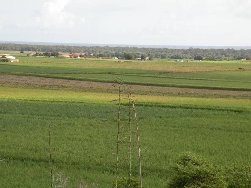 39 Rehbein Avenue, Qunaba QLD 4670