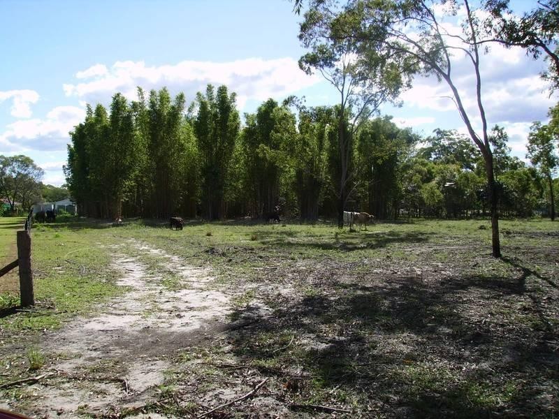 South Kolan QLD 4670