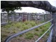 Bundaberg QLD 4670