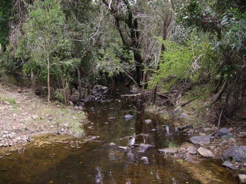 Bundaberg QLD 4670