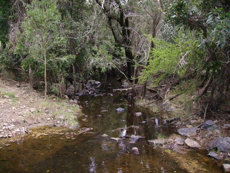 31834 Bruce Highway, Childers QLD 4660