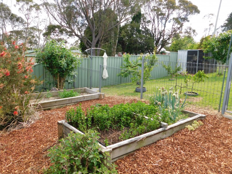 8 CUMBERTEEN STREET, Hill Top NSW 2575