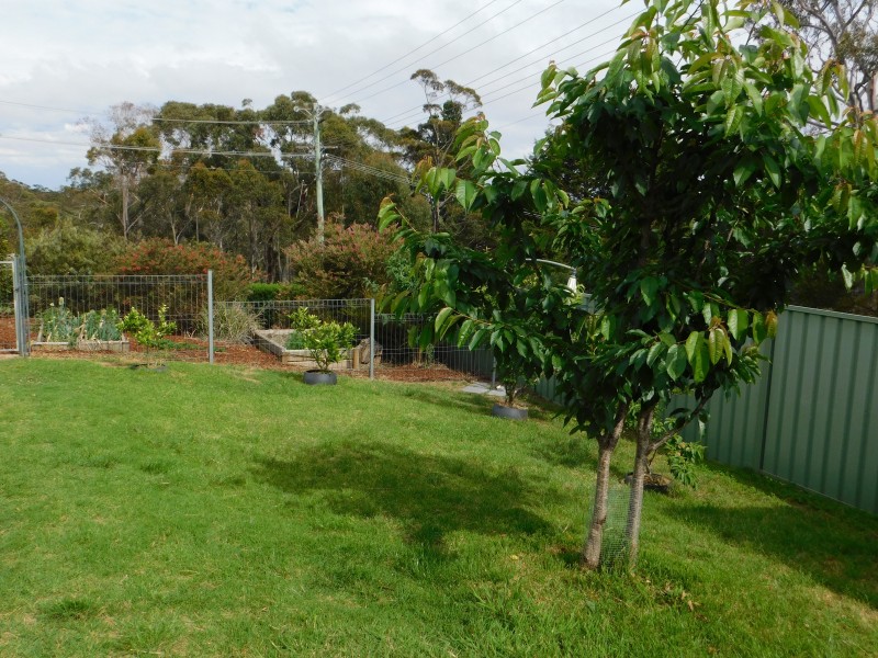 8 CUMBERTEEN STREET, Hill Top NSW 2575