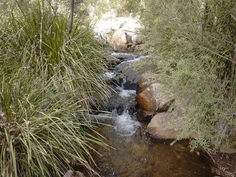 Lot 12 Joadja Road, Joadja NSW 2575