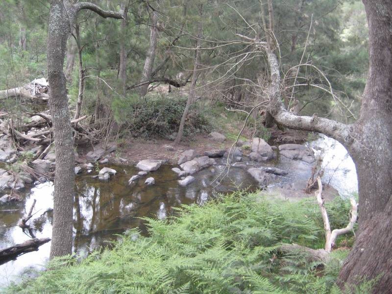 Lot 12 Joadja Road, Joadja NSW 2575