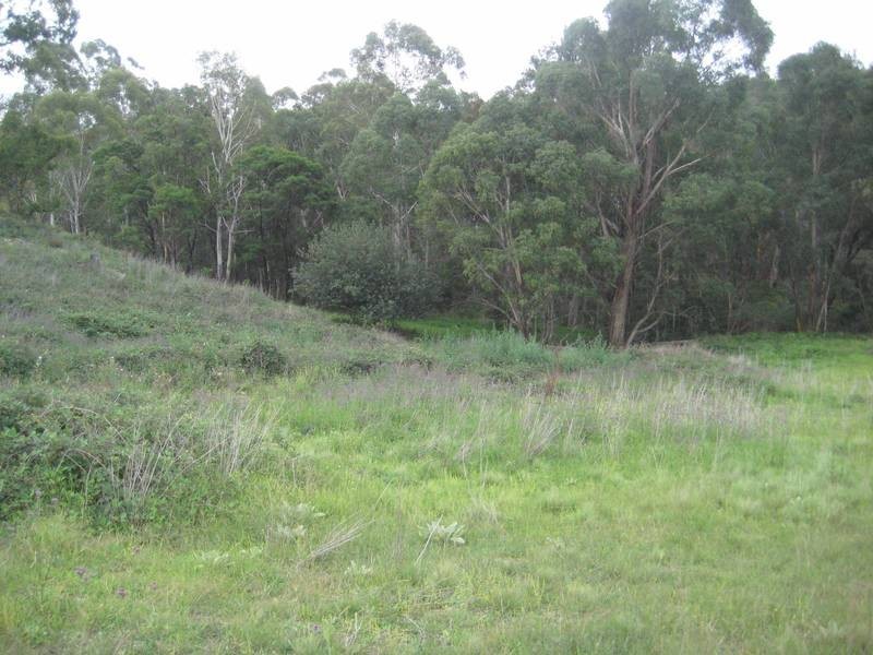 Lot 12 Joadja Road, Joadja NSW 2575