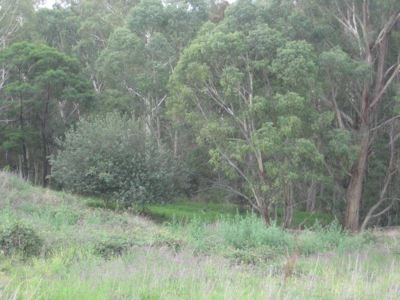 Lot 12 Joadja Road, Joadja NSW 2575