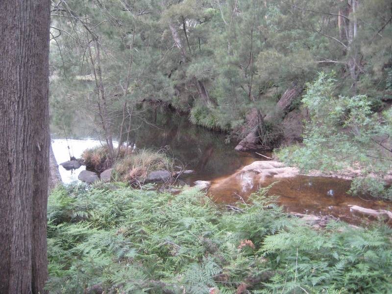 Lot 12 Joadja Road, Joadja NSW 2575