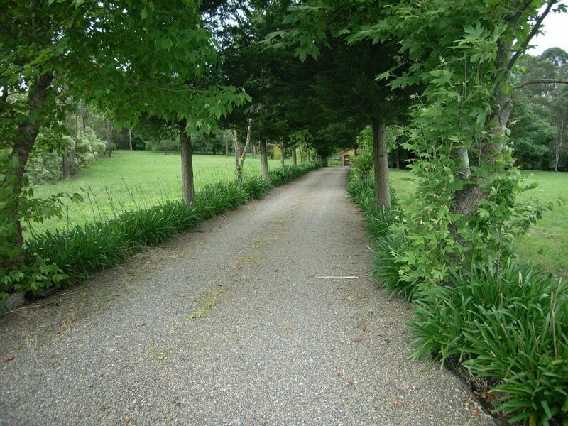 Lot 7, 184 Old South Road, Alpine NSW 2575