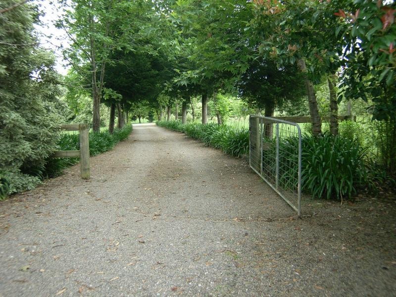 Lot 7, 184 Old South Road, Alpine NSW 2575