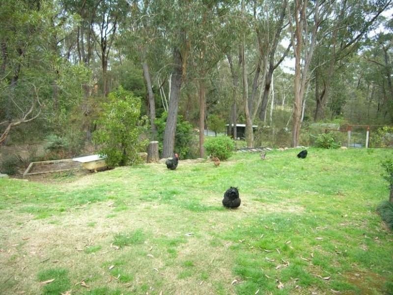 3 Wattle Street, Hill Top NSW 2575