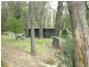 3 Wattle Street, Hill Top NSW 2575