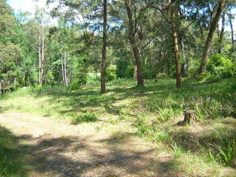 6 Earl Street, Bowral NSW 2576