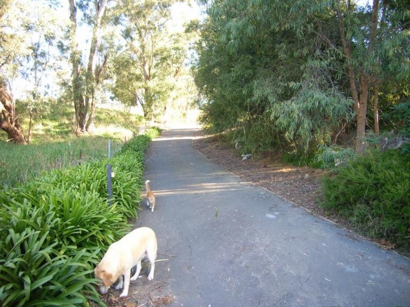 7 Woodbury Court, Bowral NSW 2576