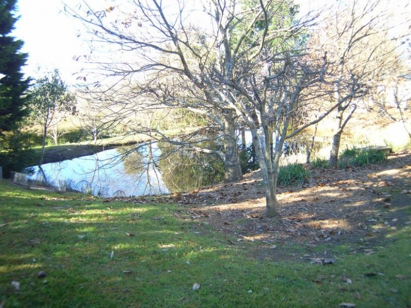 377 Oldbury Road, Sutton Forest NSW 2577