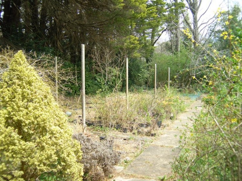 38 Jellore Street, Berrima NSW 2577