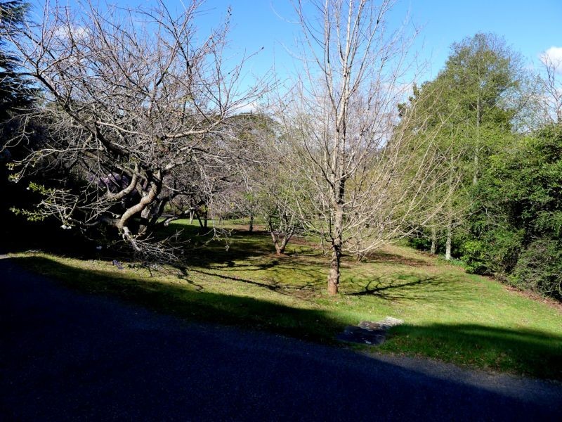 34 CLIFF STREET, Bowral NSW 2576