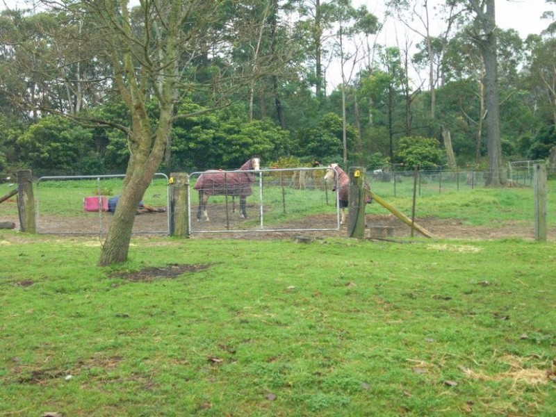 783 WILSON DRIVE, Hill Top NSW 2575