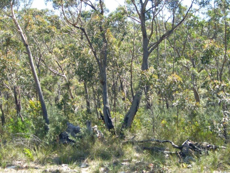 Lot 1-13,54-66,  Raglan Street, Hill Top NSW 2575