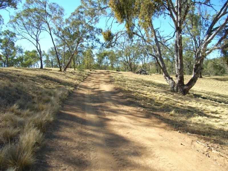 3383 BRAYTON ROAD, Big Hill NSW 2579