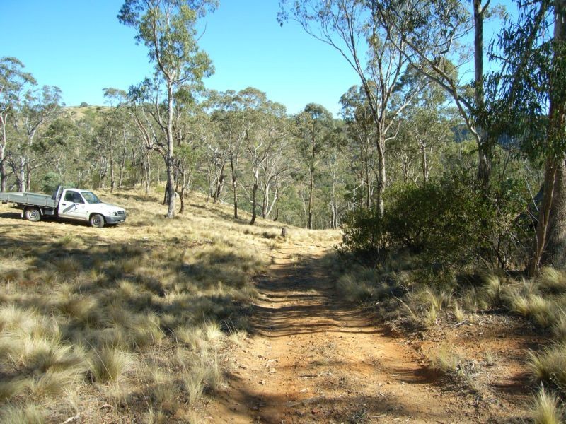 3383 BRAYTON ROAD, Big Hill NSW 2579