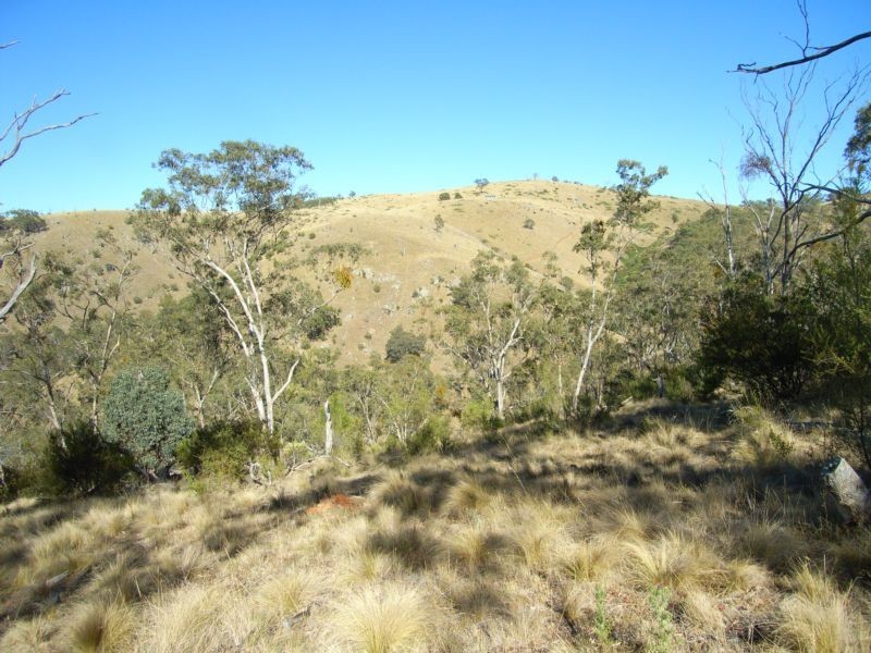 3383 BRAYTON ROAD, Big Hill NSW 2579