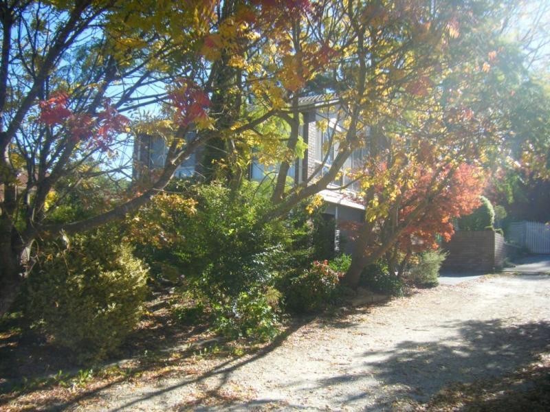 62 Orient Street, Willow Vale NSW 2575