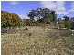 12 Sharnee Close, Hill Top NSW 2575